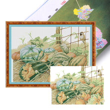 Load image into Gallery viewer, Joy Sunday - Pumpkin Five - 45*33CM 14CT 2 Stamped Cross Stitch