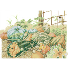 Load image into Gallery viewer, Joy Sunday - Pumpkin Five - 45*33CM 14CT 2 Stamped Cross Stitch