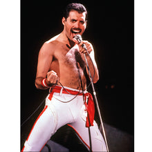 Load image into Gallery viewer, Singer 30*40CM(Canvas) Full Round Drill Diamond Painting