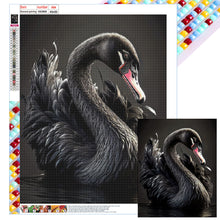 Load image into Gallery viewer, Black Swan 40*50CM(Canvas) Full Square Drill Diamond Painting