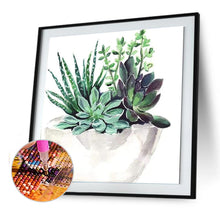 Load image into Gallery viewer, Succulents 30*30CM(Canvas) Full Round Drill Diamond Painting
