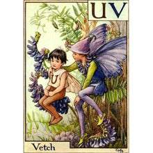 Load image into Gallery viewer, Wild Pea Fairy 40*50CM(Canvas) Full Round Drill Diamond Painting