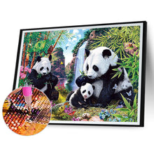 Load image into Gallery viewer, Panda Family 60*50CM(Canvas) Full Square Drill Diamond Painting