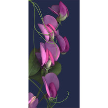Load image into Gallery viewer, Phalaenopsis Orchid 40*80CM(Canvas) Full Round Drill Diamond Painting