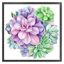 Load image into Gallery viewer, Yishu - Succulents - 50*50CM 11CT 3 Stamped Cross Stitch