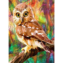 Load image into Gallery viewer, Huancan - Owl - 35*45CM 11CT 3 Stamped Cross Stitch