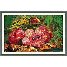Load image into Gallery viewer, Joy Sunday - Rafflesia - 69*47CM 14CT 2 Stamped Cross Stitch