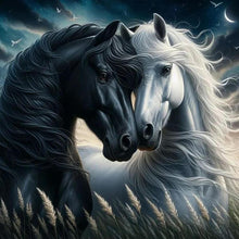 Load image into Gallery viewer, Black Horse White Horse 30*30CM(Canvas) Full Round Drill Diamond Painting