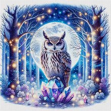 Load image into Gallery viewer, Yishu - Owl On A Gemstone Under A Moonlit Night - 40*40CM 11CT 3 Stamped Cross Stitch