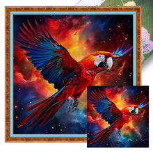 Load image into Gallery viewer, Huancan - Macaw - 40*40CM 11CT 3 Stamped Cross Stitch