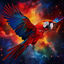 Load image into Gallery viewer, Huancan - Macaw - 40*40CM 11CT 3 Stamped Cross Stitch