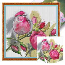 Load image into Gallery viewer, Spring Brand - Rose And Bird - 45*45CM 11CT 4 Stamped Cross Stitch Egyptian cotton
