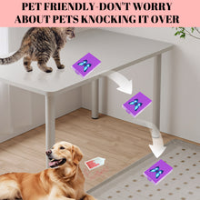 Load image into Gallery viewer, 4Pcs Butterfly Diamond Painting Tray 5D DIY Drills Plate with Sppon & Brush