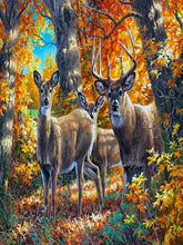 Load image into Gallery viewer, Moose In A Maple Forest 40*30CM(Canvas) Full Round Drill Diamond Painting