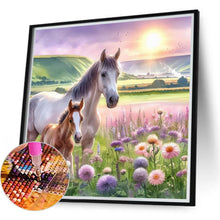 Load image into Gallery viewer, Horse In The Prairie Flower Field 40*40CM(Canvas) Full Round Drill Diamond Painting