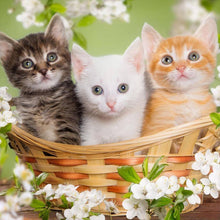 Load image into Gallery viewer, Three Cats 40*40CM(Canvas) Full Round Drill Diamond Painting