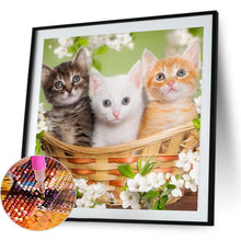 Load image into Gallery viewer, Three Cats 40*40CM(Canvas) Full Round Drill Diamond Painting
