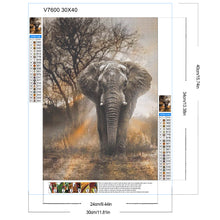 Load image into Gallery viewer, Elephant 30*40CM(Canvas) Full Round Drill Diamond Painting