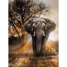 Load image into Gallery viewer, Elephant 30*40CM(Canvas) Full Round Drill Diamond Painting