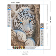 Load image into Gallery viewer, White Tiger 30*40CM(Canvas) Full Round Drill Diamond Painting