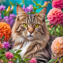Load image into Gallery viewer, Cat 50*50CM(Canvas) Full Round Drill Diamond Painting