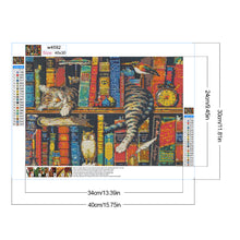 Load image into Gallery viewer, Cat On A Bookshelf 40*30CM(Canvas) Full Round Drill Diamond Painting
