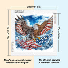 Load image into Gallery viewer, Eagle 30*30CM(Canvas) Partial Special Shaped Drill Diamond Painting