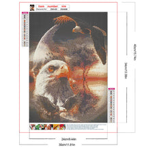 Load image into Gallery viewer, Eagle 30*40CM(Canvas) Full Round Drill Diamond Painting