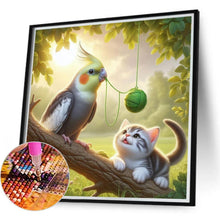 Load image into Gallery viewer, Parrot And Cat 40*40CM(Canvas) Full Round Drill Diamond Painting
