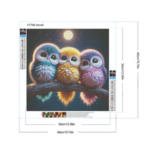 Load image into Gallery viewer, Three Owls 40*40CM(Canvas) Full Round Drill Diamond Painting