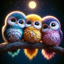 Load image into Gallery viewer, Three Owls 40*40CM(Canvas) Full Round Drill Diamond Painting