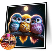 Load image into Gallery viewer, Three Owls 40*40CM(Canvas) Full Round Drill Diamond Painting