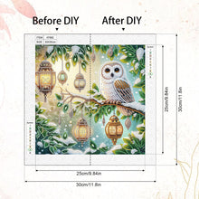 Load image into Gallery viewer, Owl 30*30CM(Canvas) Partial Special Shaped Drill Diamond Painting