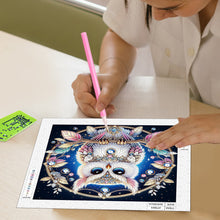 Load image into Gallery viewer, Owl 30*30CM(Canvas) Partial Special Shaped Drill Diamond Painting