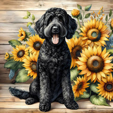 Load image into Gallery viewer, Black Teddy Bear-Dog 40*40CM(Canvas) Full Round Drill Diamond Painting
