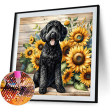Load image into Gallery viewer, Black Teddy Bear-Dog 40*40CM(Canvas) Full Round Drill Diamond Painting