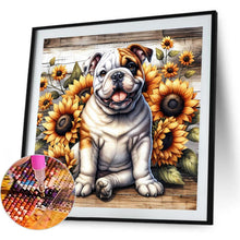 Load image into Gallery viewer, Pug-Dog 40*40CM(Canvas) Full Round Drill Diamond Painting