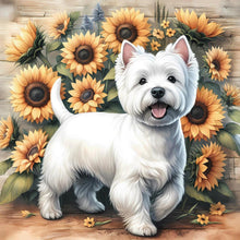 Load image into Gallery viewer, West Highland White Terrier-Dog 40*40CM(Canvas) Full Round Drill Diamond Painting