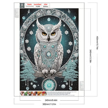 Load image into Gallery viewer, Blue Dream Owl 30*40CM(Canvas) Partial Special Shaped Drill Diamond Painting