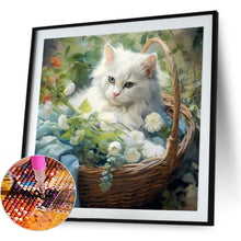 Load image into Gallery viewer, Cat 40*40CM(Canvas) Full Round Drill Diamond Painting