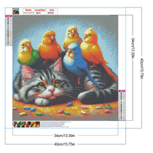 Load image into Gallery viewer, Cat Parrot 40*40CM(Canvas) Full Round Drill Diamond Painting