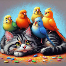 Load image into Gallery viewer, Cat Parrot 40*40CM(Canvas) Full Round Drill Diamond Painting