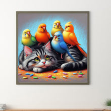 Load image into Gallery viewer, Cat Parrot 40*40CM(Canvas) Full Round Drill Diamond Painting