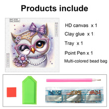 Load image into Gallery viewer, Cartoon Owl 30*30CM(Canvas) Partial Special Shaped Drill Diamond Painting