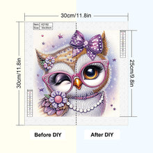 Load image into Gallery viewer, Cartoon Owl 30*30CM(Canvas) Partial Special Shaped Drill Diamond Painting