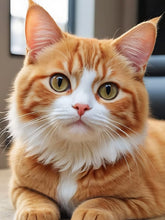 Load image into Gallery viewer, Orange Cat 30*40CM(Canvas) Full Round Drill Diamond Painting