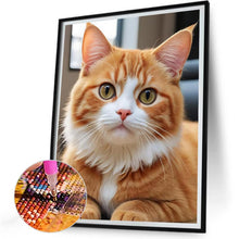 Load image into Gallery viewer, Orange Cat 30*40CM(Canvas) Full Round Drill Diamond Painting