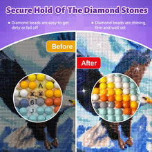 Load image into Gallery viewer, 240ml Diamond Painting Sealer with Brushes Diamond Painting Accessories (Black)