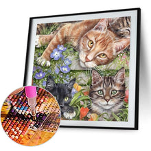 Load image into Gallery viewer, Three Cats 40*40CM(Canvas) Full Round Drill Diamond Painting