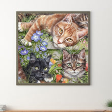 Load image into Gallery viewer, Three Cats 40*40CM(Canvas) Full Round Drill Diamond Painting